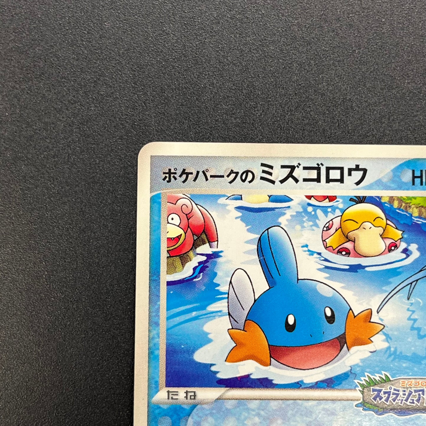 PokePark's Mudkip 048/PCG-P Promo Japanese Pokemon Card
