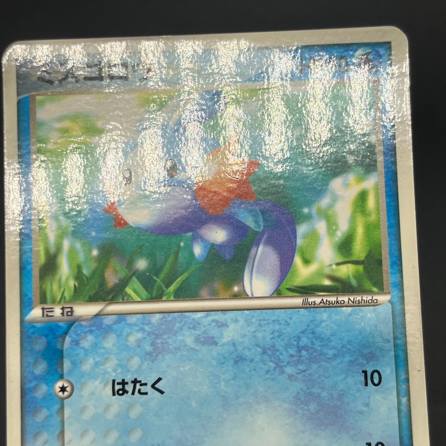 Treecko Torchic Mudkip 005/ADV-P McDonald's Pokémon Card