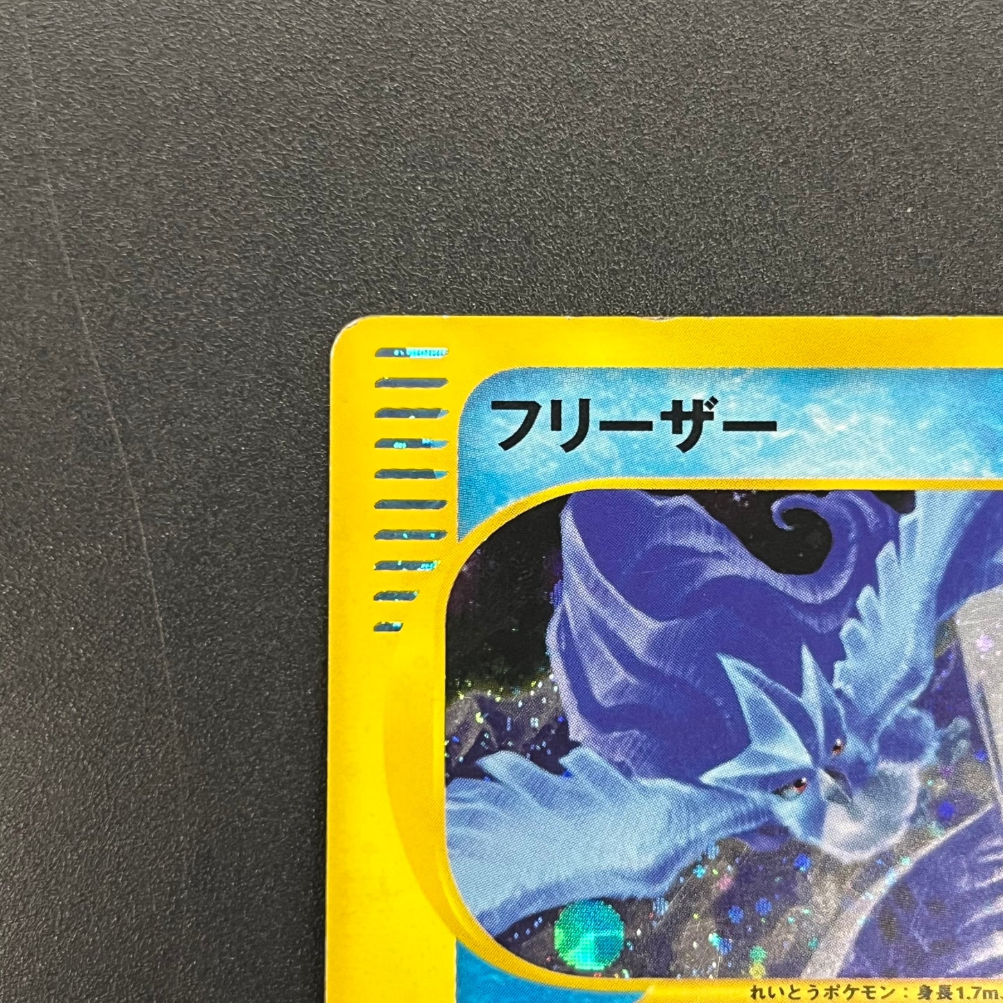 Articuno 031/088 Holo Skyridge e Japanese Pokemon Card
