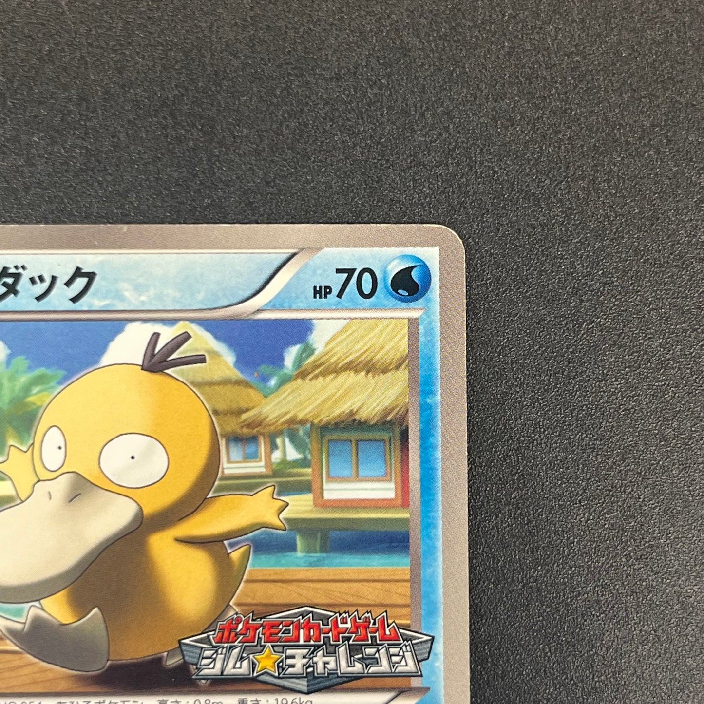 Psyduck 167/BW-P Gym Challenge Promo Japanese Pokémon Card