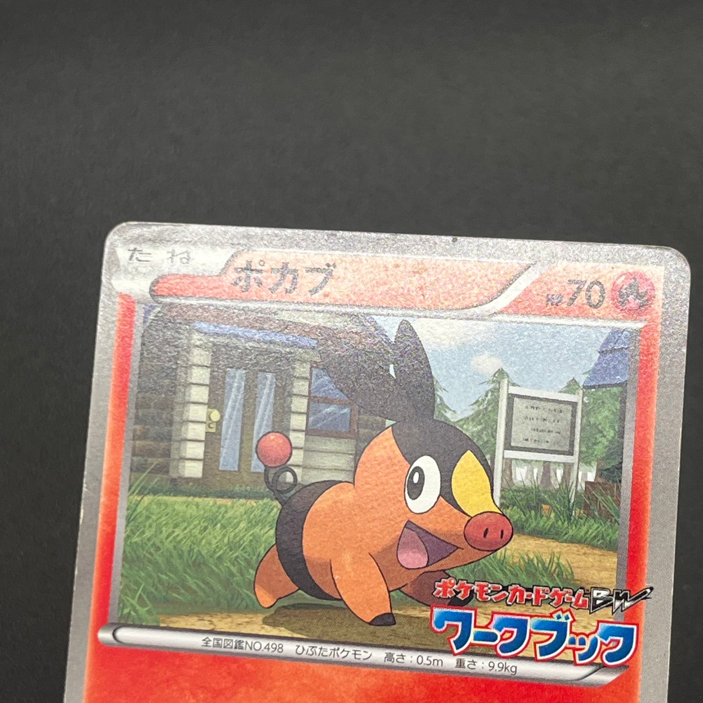Oshawott Tepig Snivy BW-P Workbook Promo 3set Pokemon Card