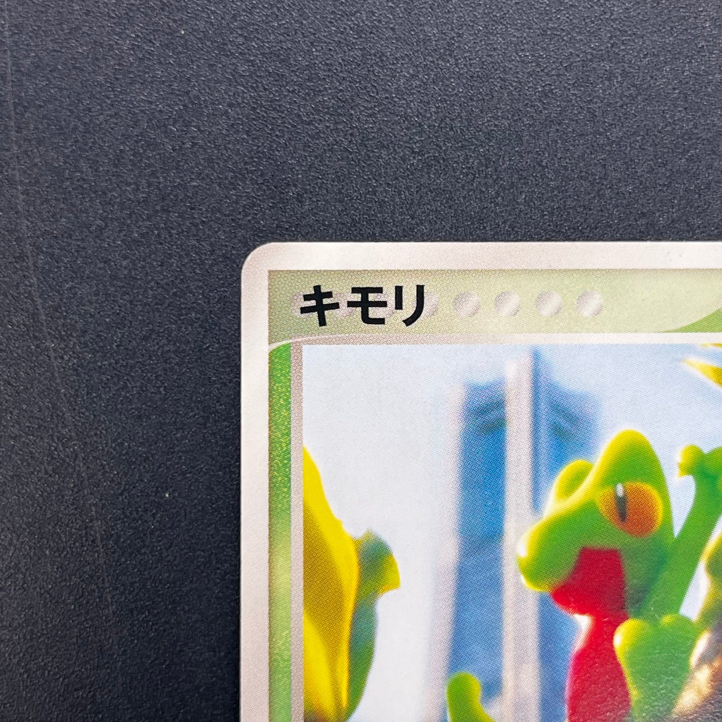 Treecko 037/PCG-P Yokohama Center Opening Pokemon Card