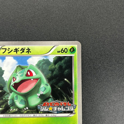 Bulbasaur 124/BW-P Gym Challenge Promo Pokémon Card