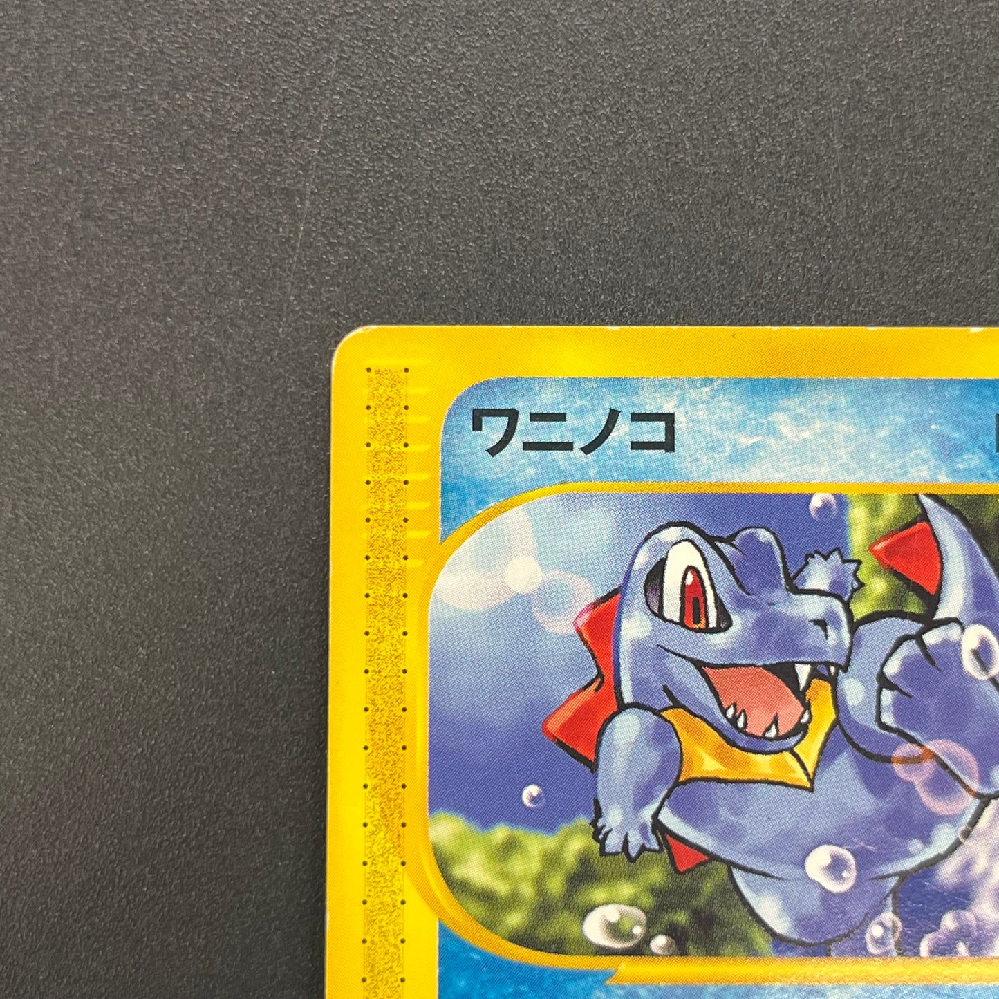 Totodile 008/018 McDonald's Promo Japanese Pokémon Card