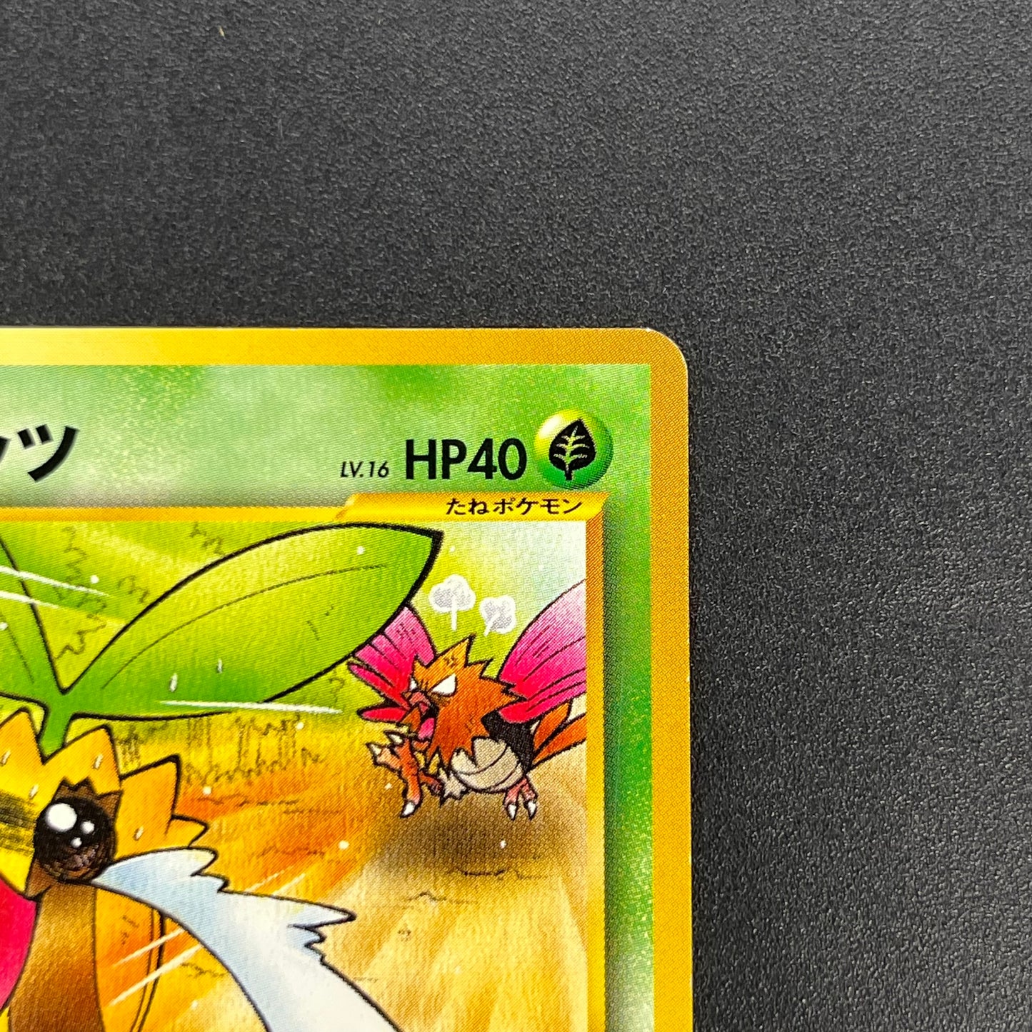 Sunkern 191 Natta Wake Vol.4 LP Promo Vintage Pokémon Card