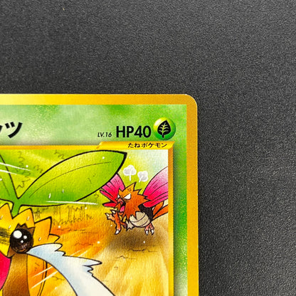 Sunkern 191 Natta Wake Vol.4 LP Promo Vintage Pokémon Card