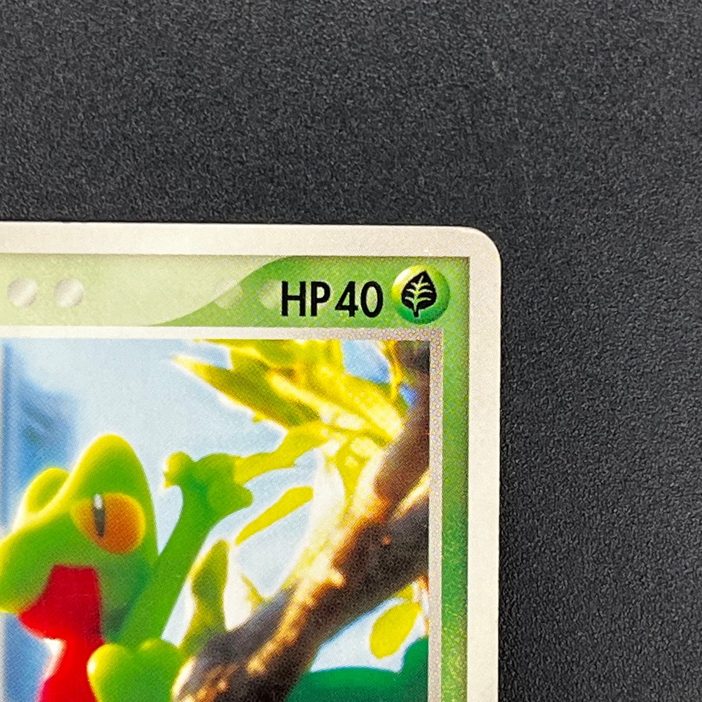 Treecko 037/PCG-P Yokohama Center Opening Pokémon Card