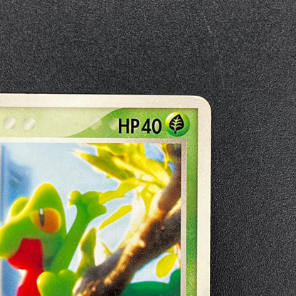 Treecko 037/PCG-P Yokohama Center Opening Pokémon Card