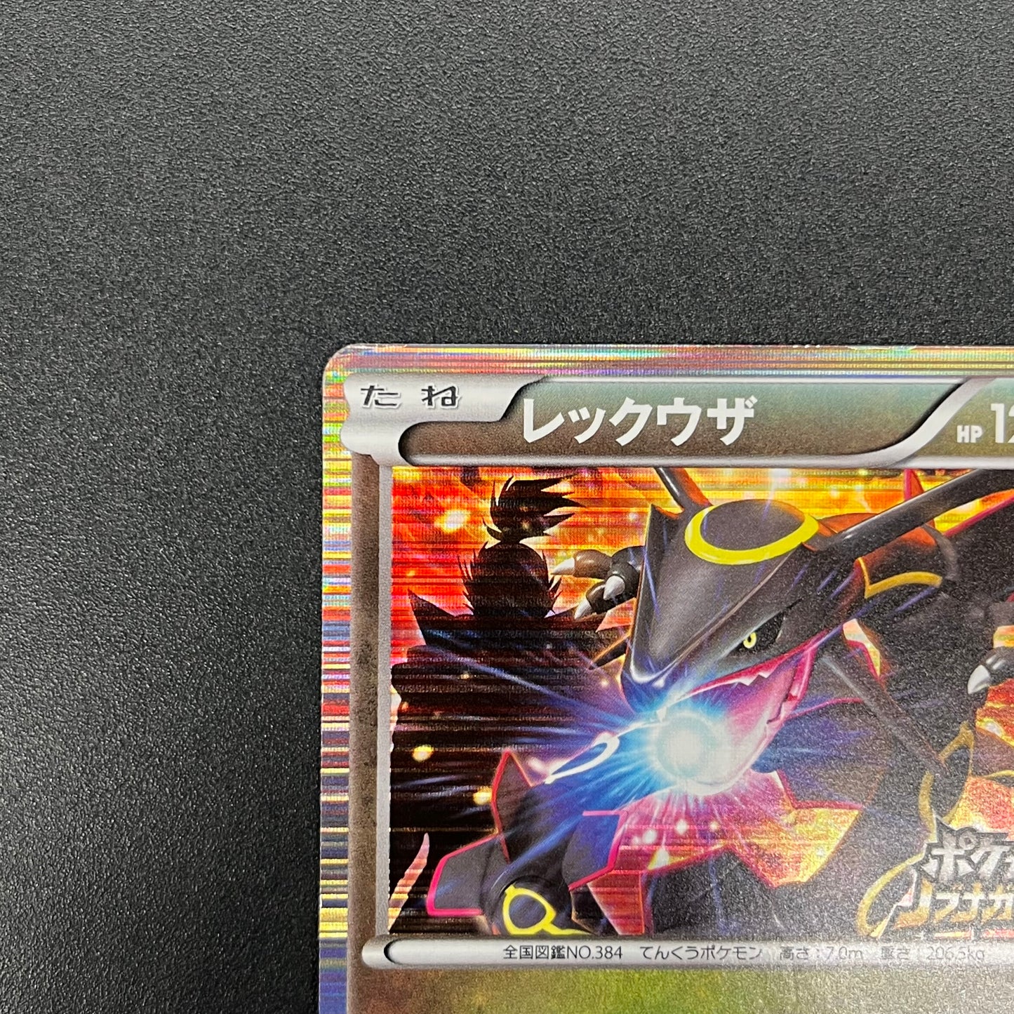 Rayquaza 144/BW-P Black Nobunaga 2 Pokémon Card Japanese
