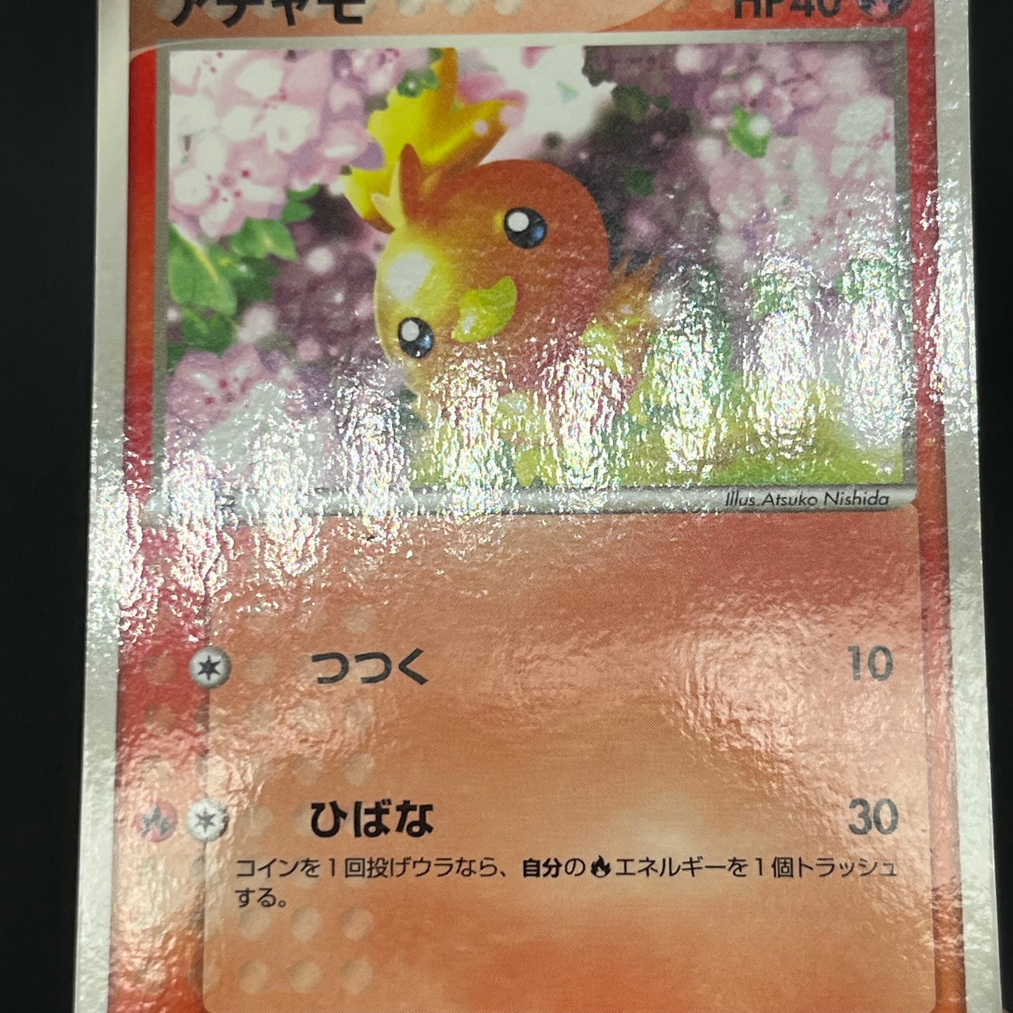 Treecko Torchic Mudkip 005/ADV-P McDonald's Pokémon Card