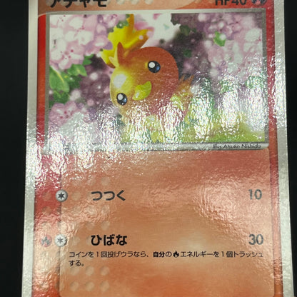 Treecko Torchic Mudkip 005/ADV-P McDonald's Pokémon Card