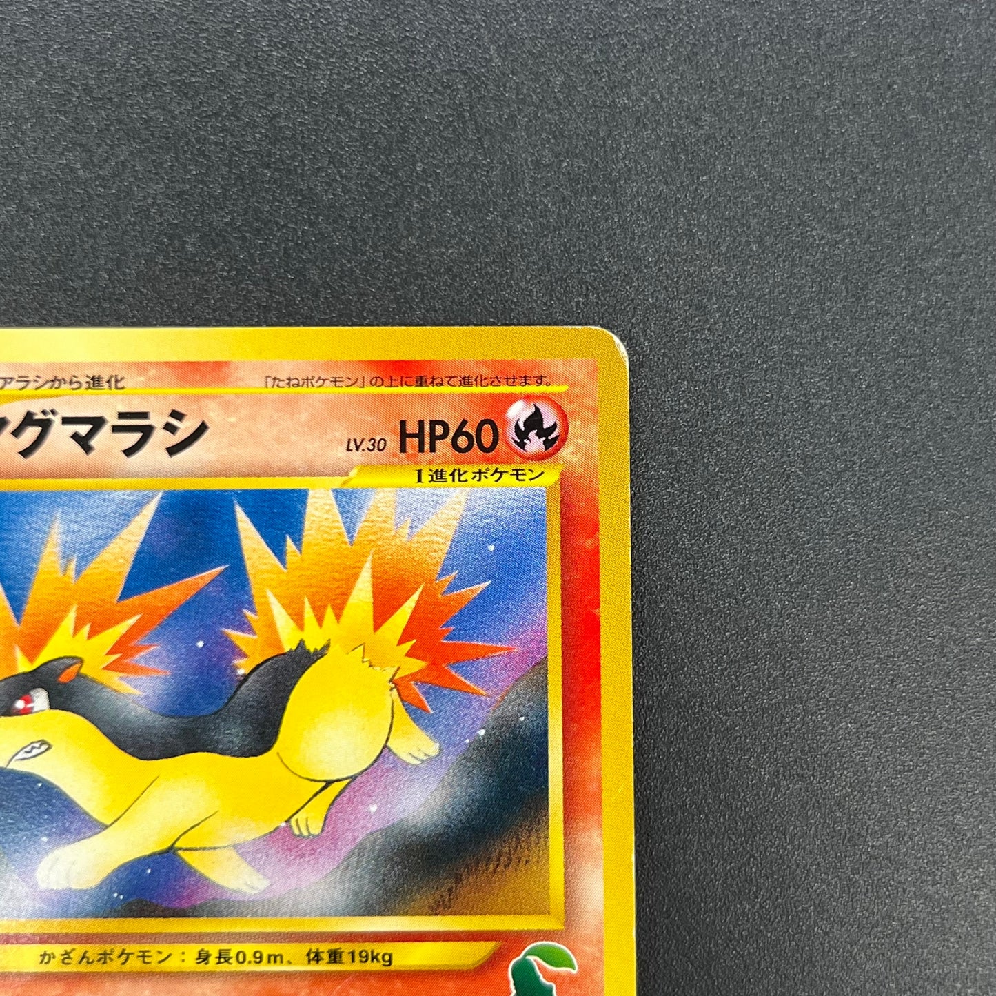 Quilava 156 Intro Pack Chikorita Half Deck Pokemon Card