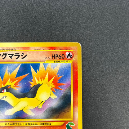 Quilava 156 Intro Pack Chikorita Half Deck Pokemon Card