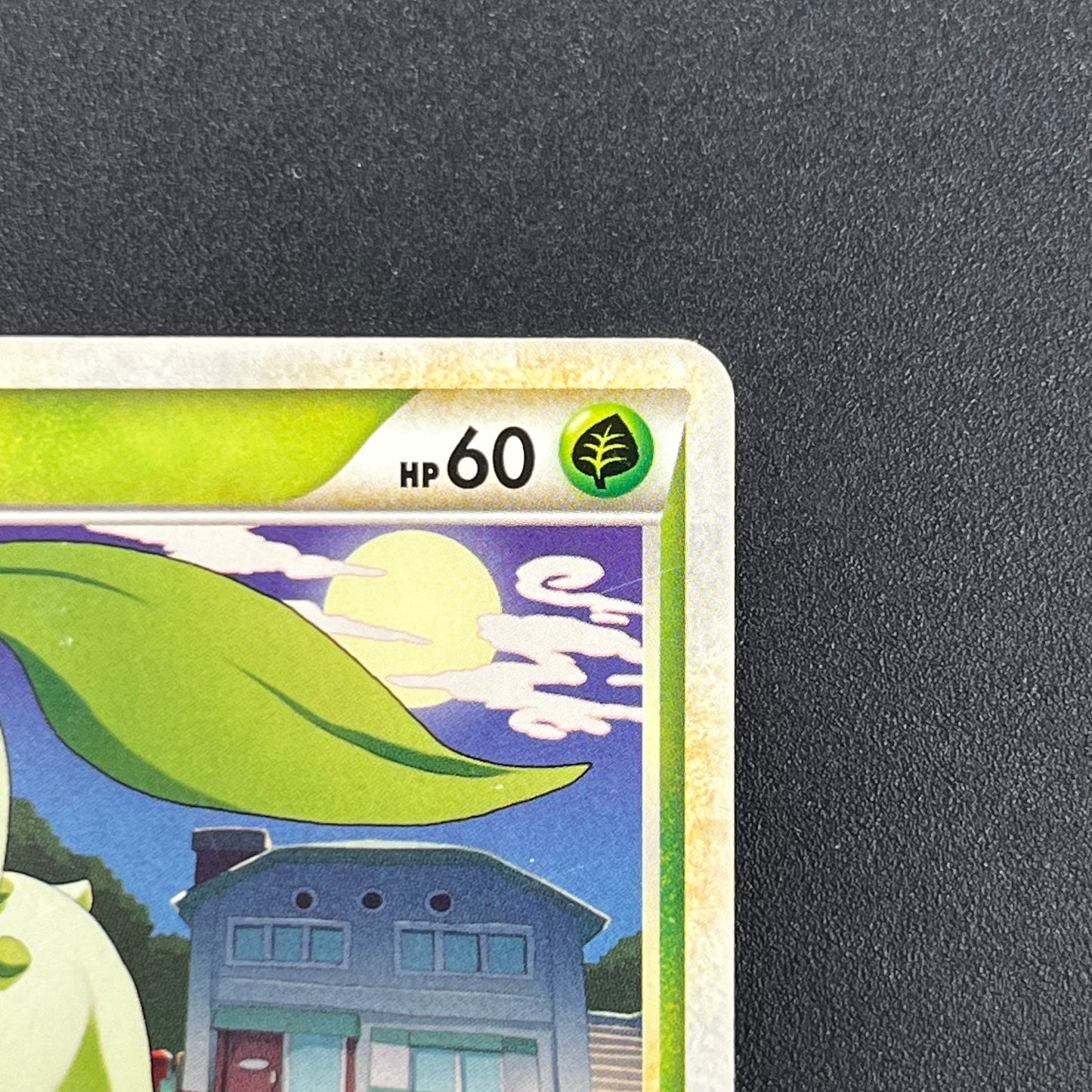 Chikorita 034/L-P Promo Pokémon Center Japanese Card