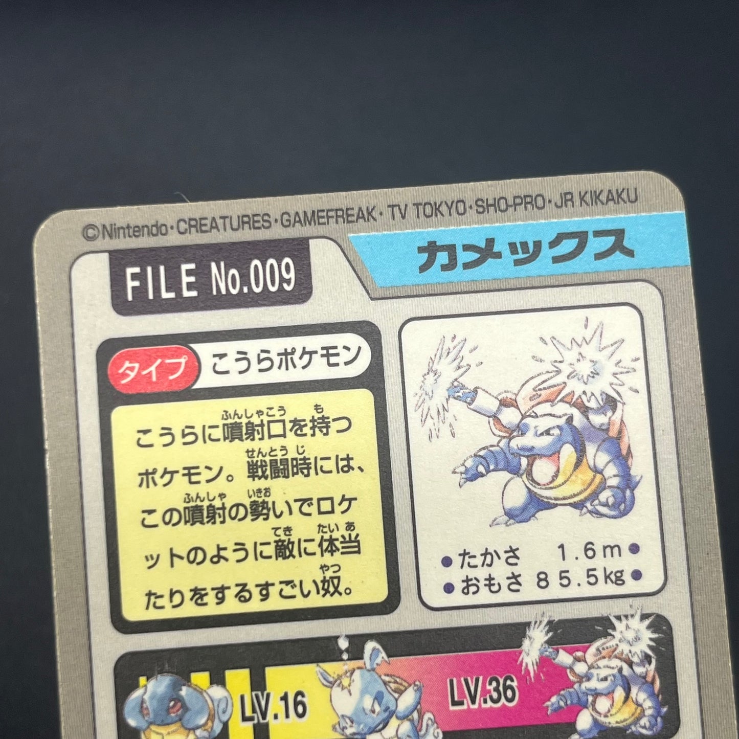 Blastoise Venusaur Bandai Carddass Holo Pokémon Card