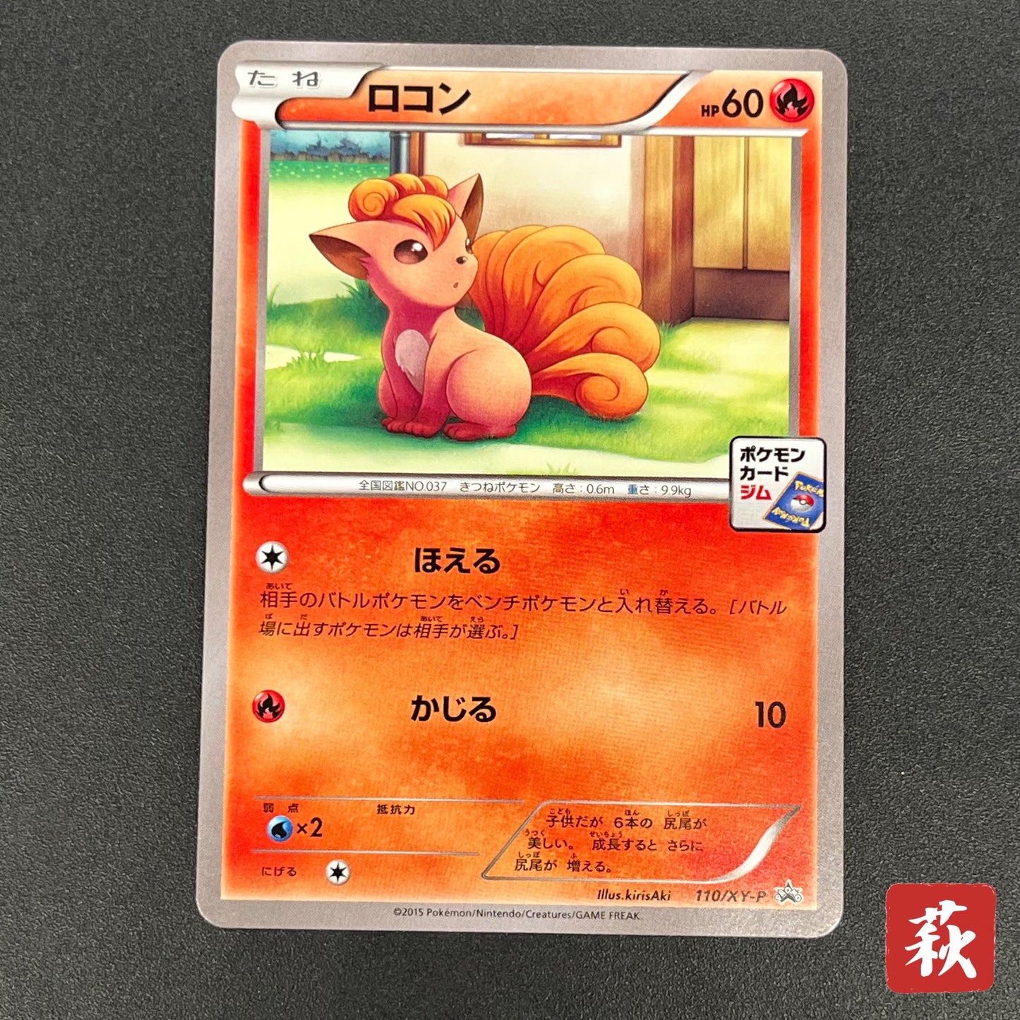 Vulpix 110/XY-P Promo Gym 4th Japanese Pokémon Card