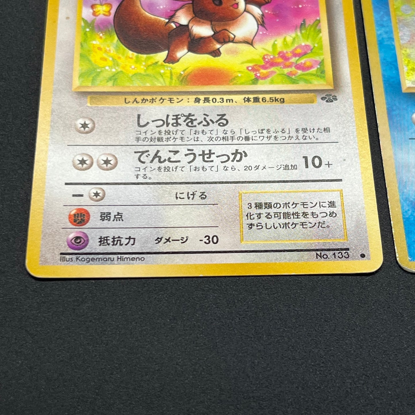 Jolteon Vaporeon Flareon Jungle Holo Old Back Pokémon Card