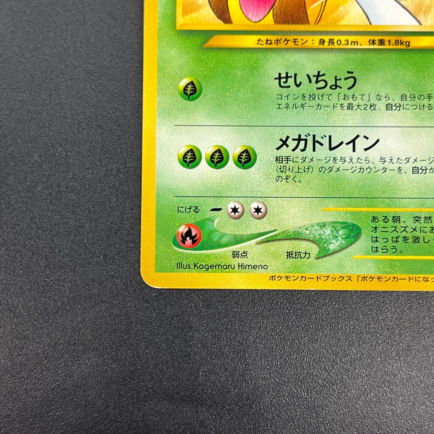 Sunkern 191 Natta Wake Vol.4 LP Promo Vintage Pokémon Card