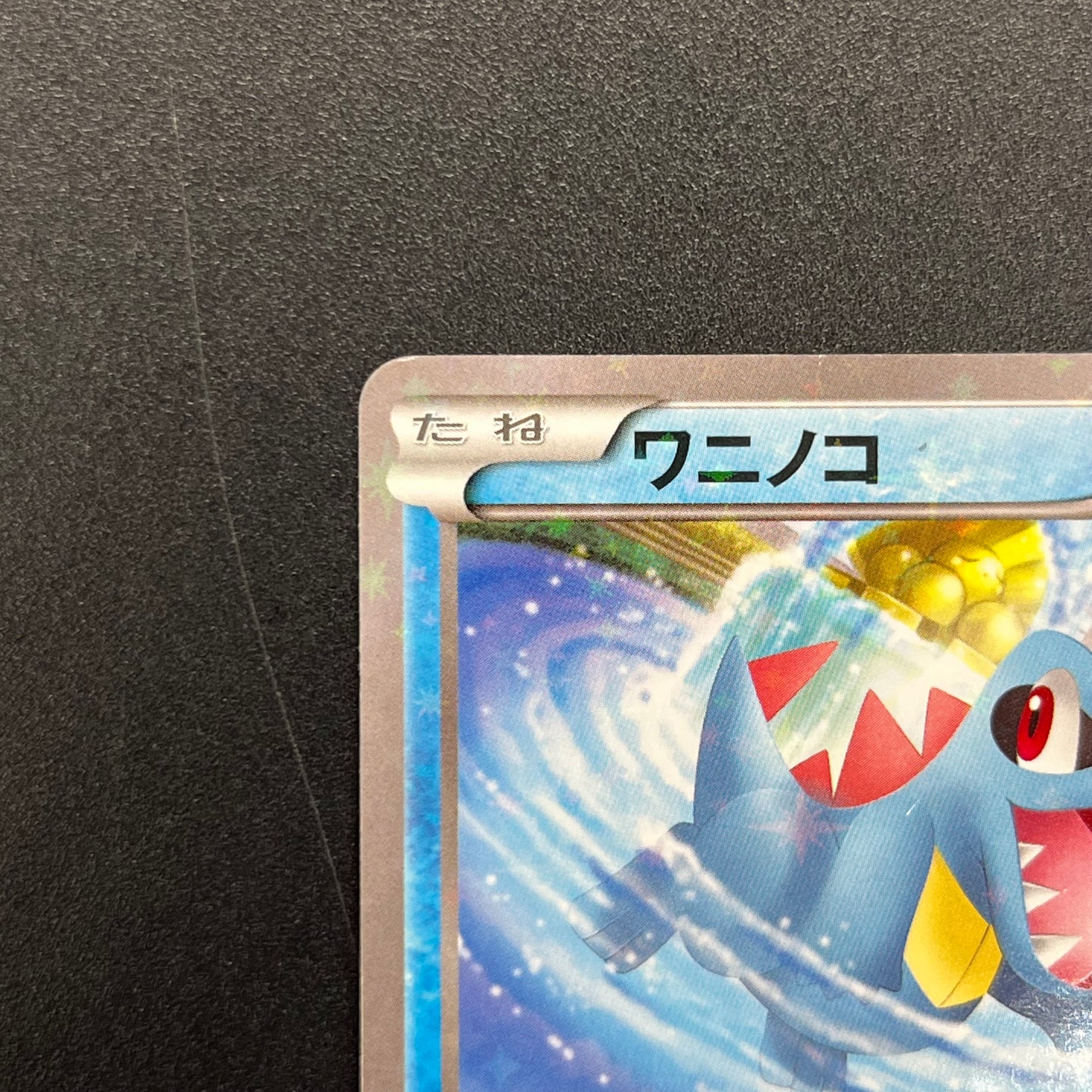 Totodile 226/XY-P Special Set Promo Japanese Pokémon Card