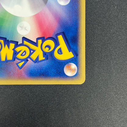 Forina's Absol 040/ADV-P Promo Gym Official Lottery Card