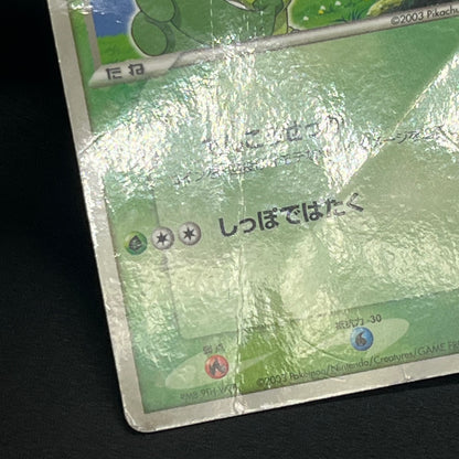 Ash's Treecko 036/ADV-P Shogakukan Promo Pokémon Card