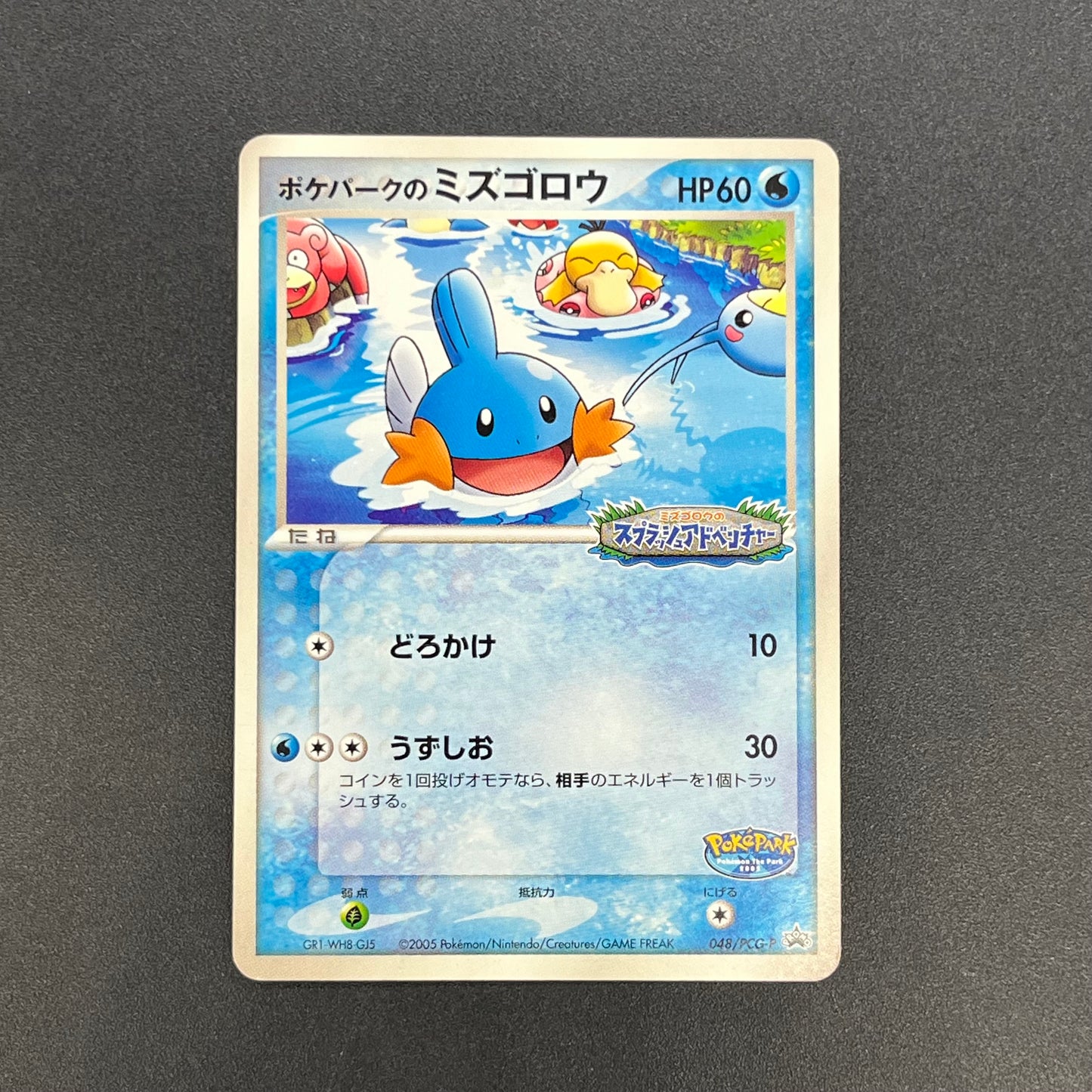 PokePark's Mudkip 048/PCG-P Promo Japanese Pokemon Card
