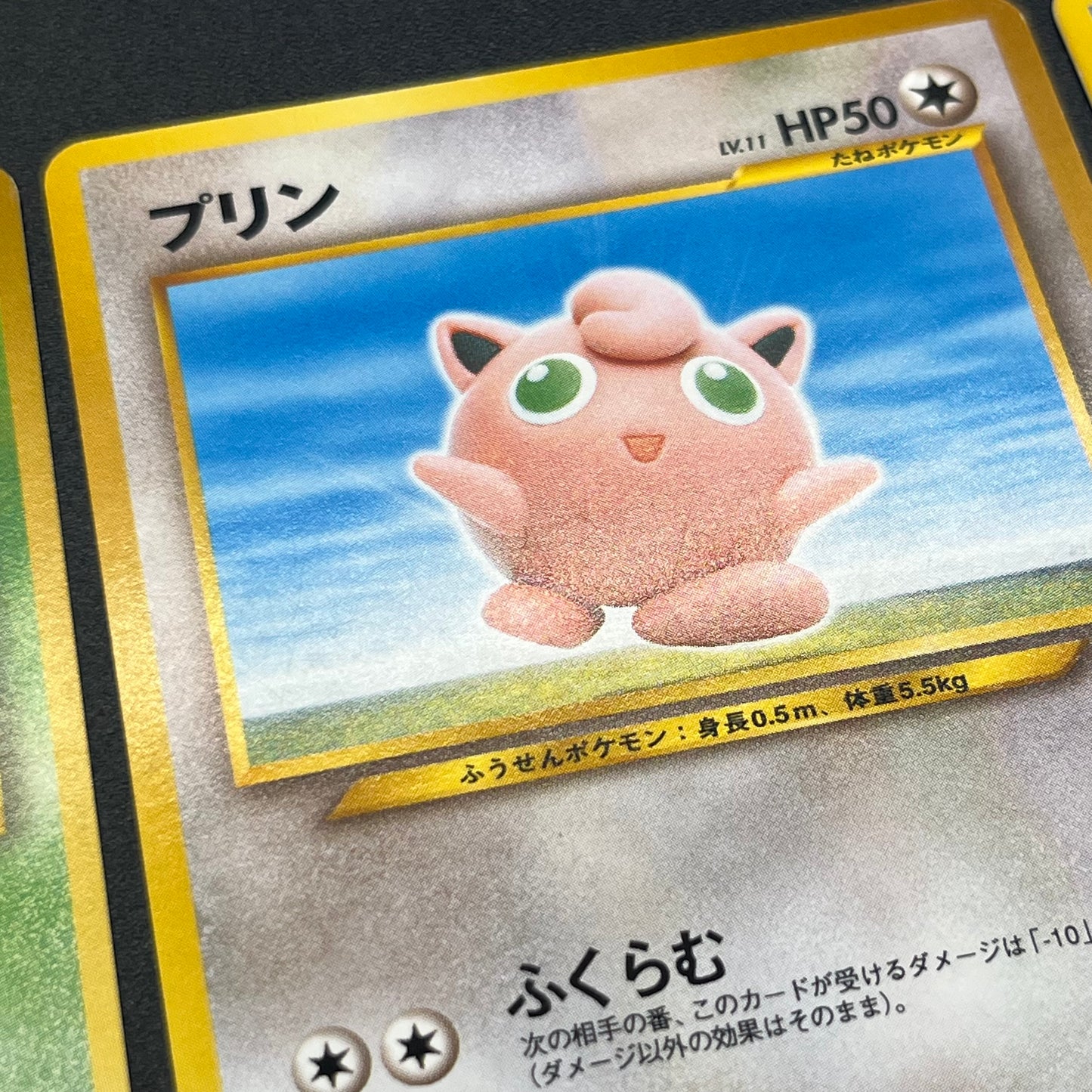 Pokemon Card Yuka Morii Old Back Caterpie 5 Set Japanese