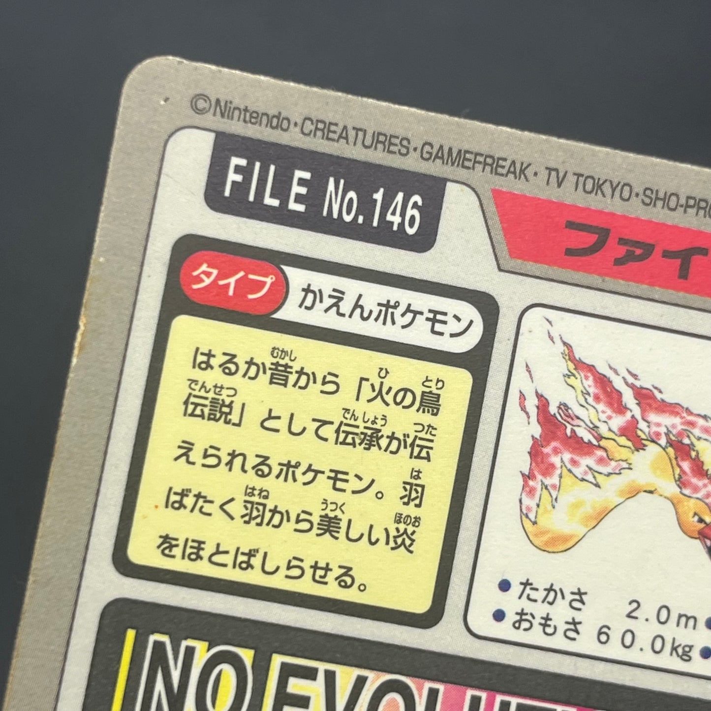 Articuno Zapdos Moltres Carddass Japanese Pokemon card
