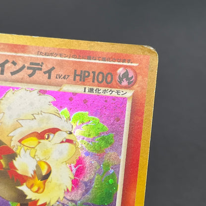 Light Arcanine No. 059 Neo Destiny 2001 Holo Pokemon Card