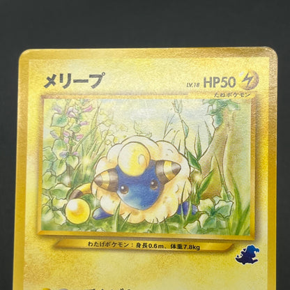 Flaaffy Mareep Intro Pack Totodile Deck 2set Pokémon Card