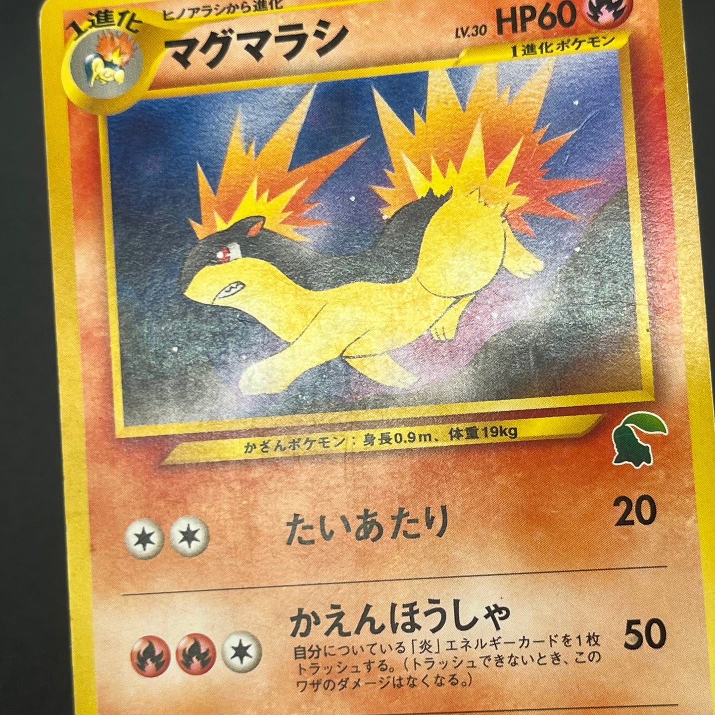 Quilava 156 Intro Pack Chikorita Half Deck Pokémon Card