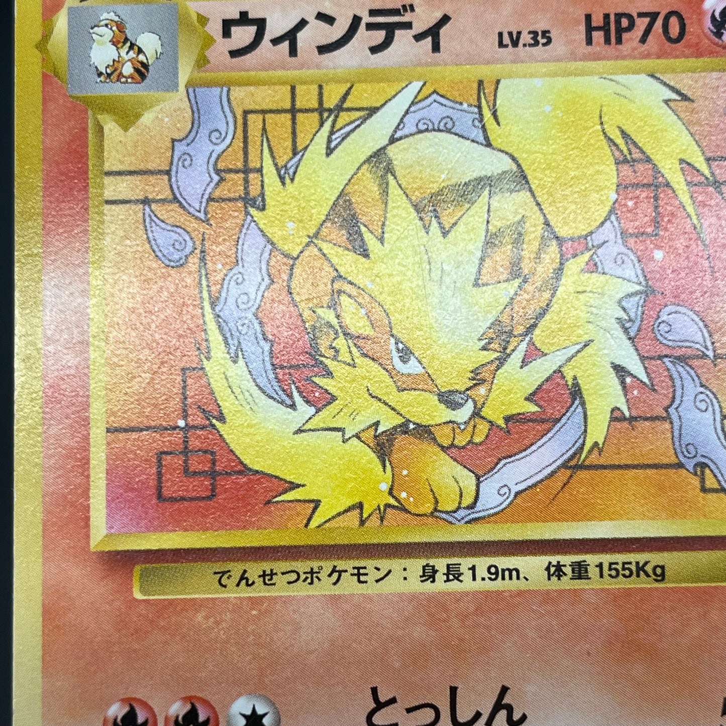 Arcanine No. 059 Intro Pack Squirtle Japanese Pokémon Card