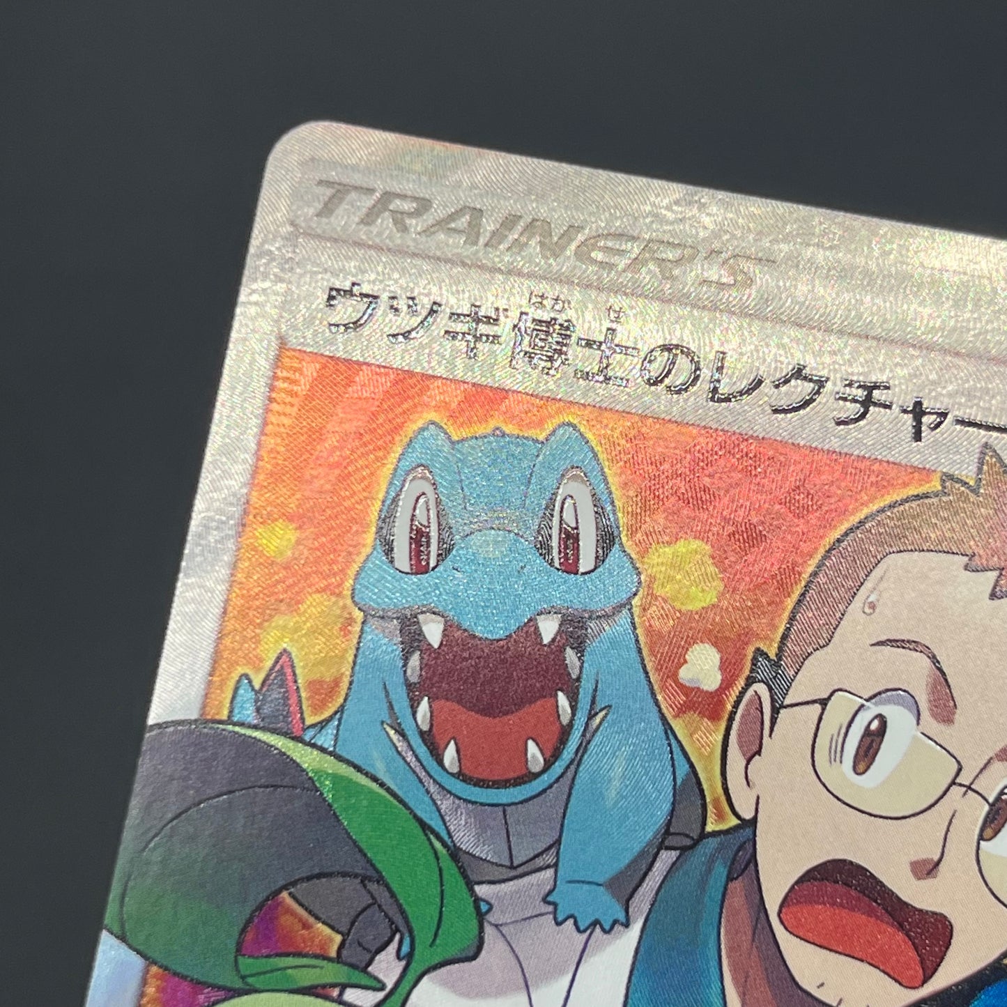 Professor Elm's Lecture 102/095 Lost Thunder Pokémon Card