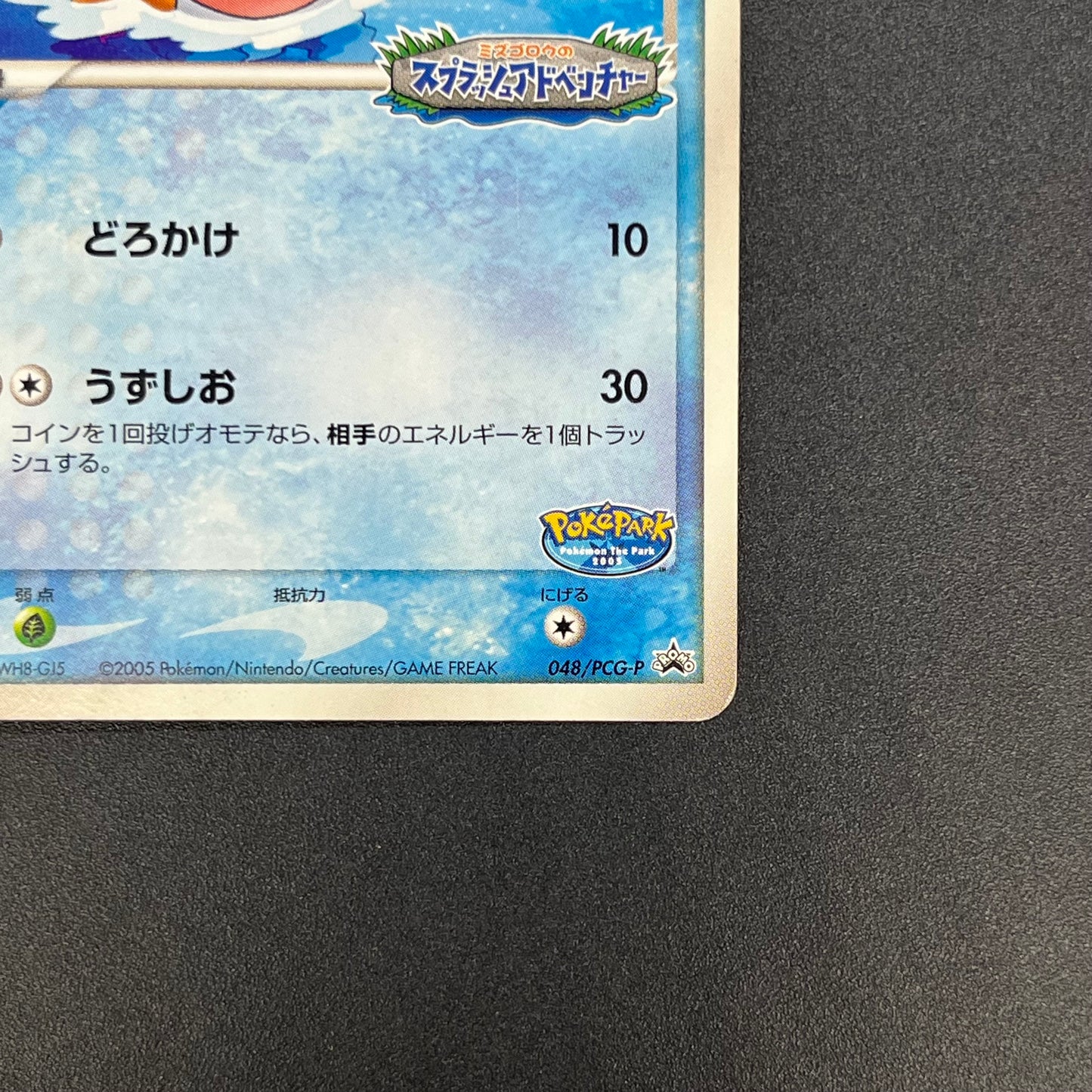 PokePark's Mudkip 048/PCG-P Promo Japanese Pokemon Card