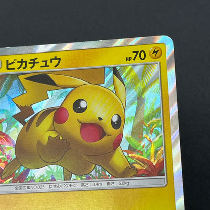 Pikachu 008/SM-P Promo Toys "R" Us exclusive Pokémon Card