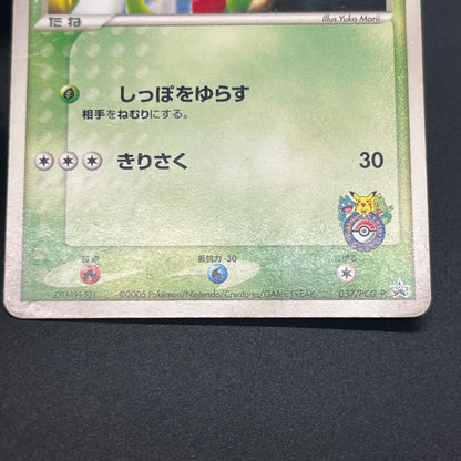 Treecko 037/PCG-P HP Yokohama Center Opening Pokémon Card