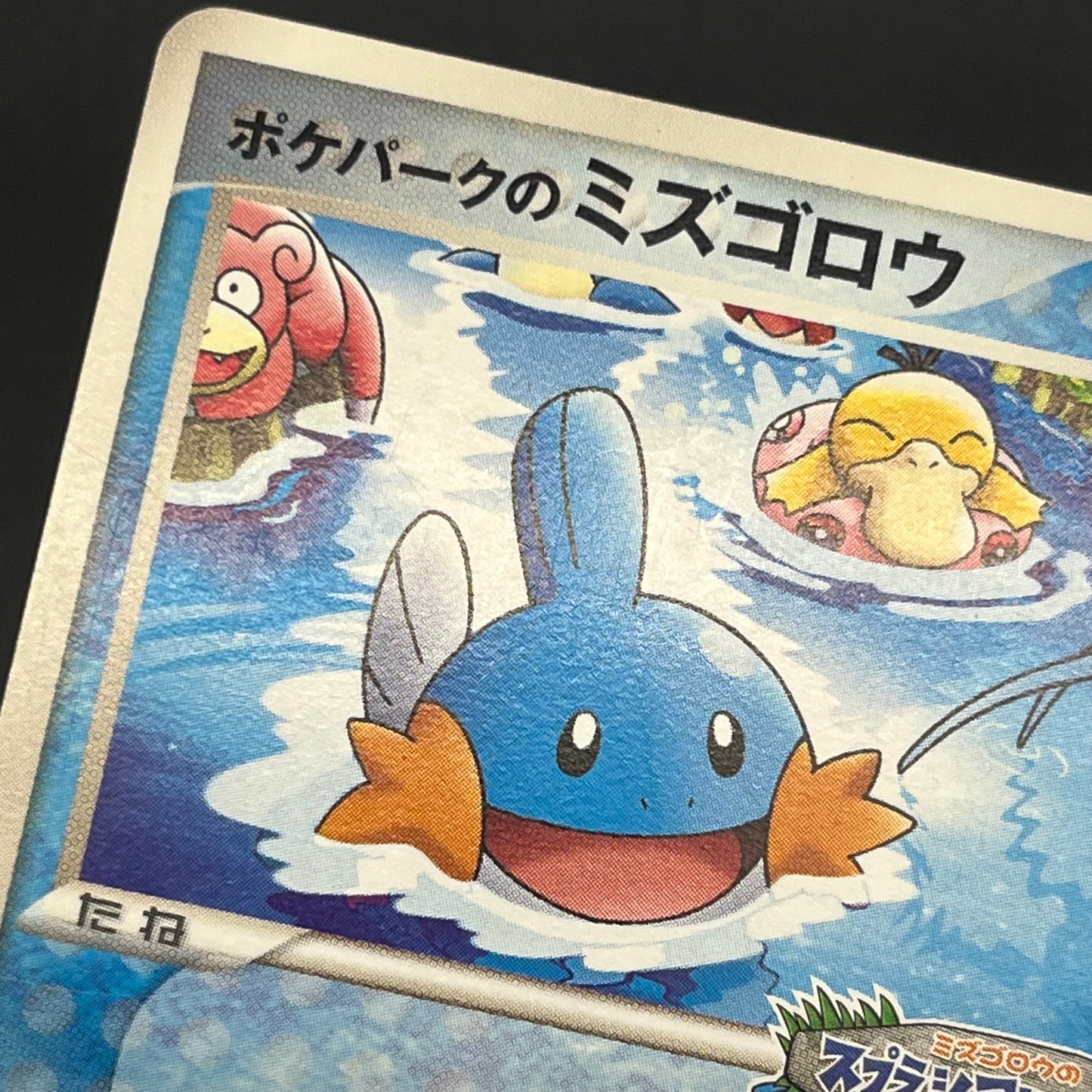 PokePark's Mudkip 048/PCG-P Promo Japanese Pokemon Card