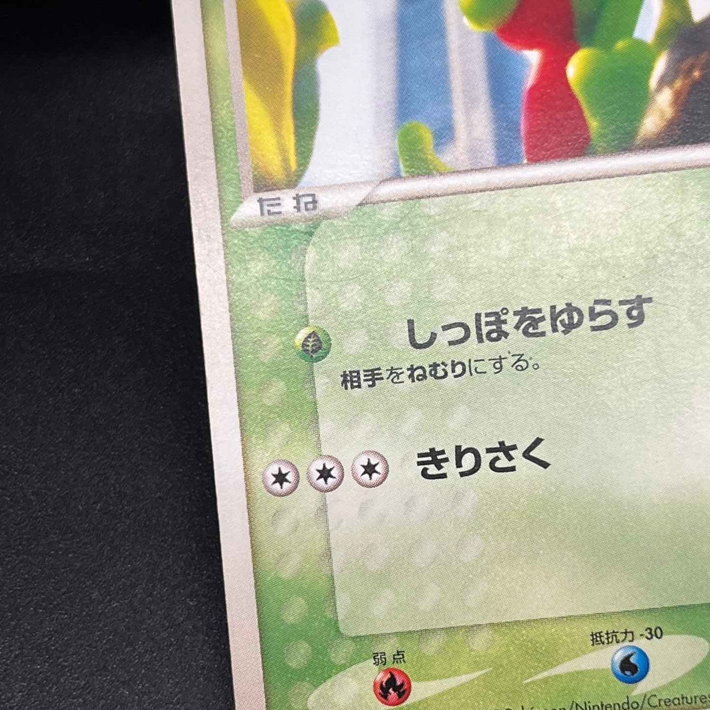 Treecko 037/PCG-P Yokohama Center Opening Pokémon Card