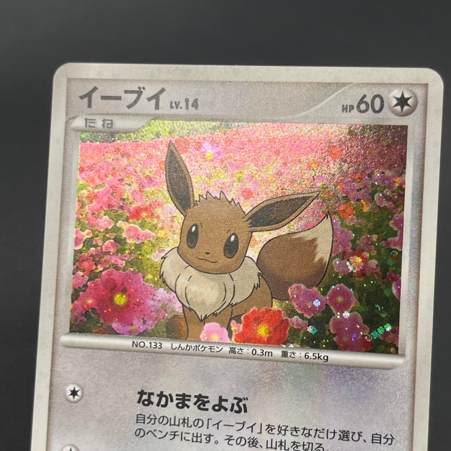 Eevee 063/DP-P Promo Trade Please event Pokemon Card