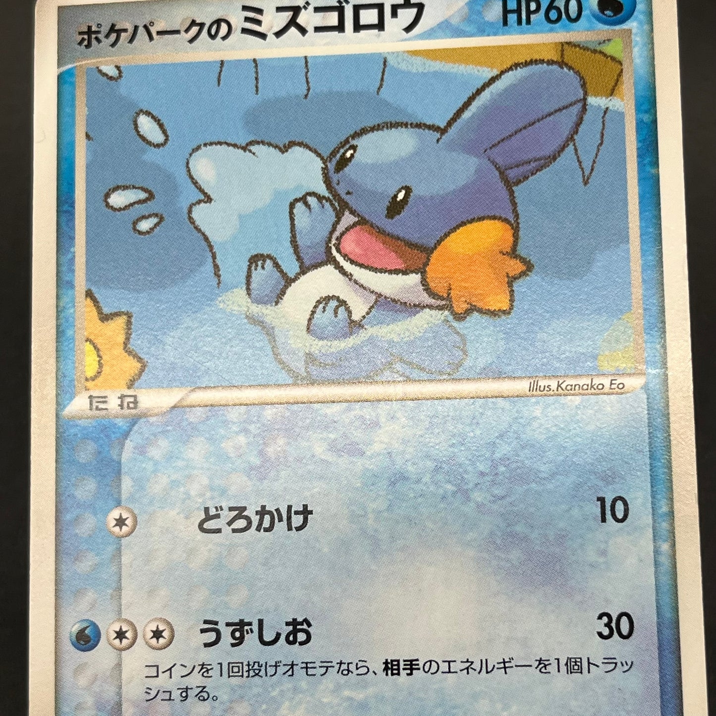 Pokepark's Mudkip 003/009 Pokepark Forest MP Pokémon Card