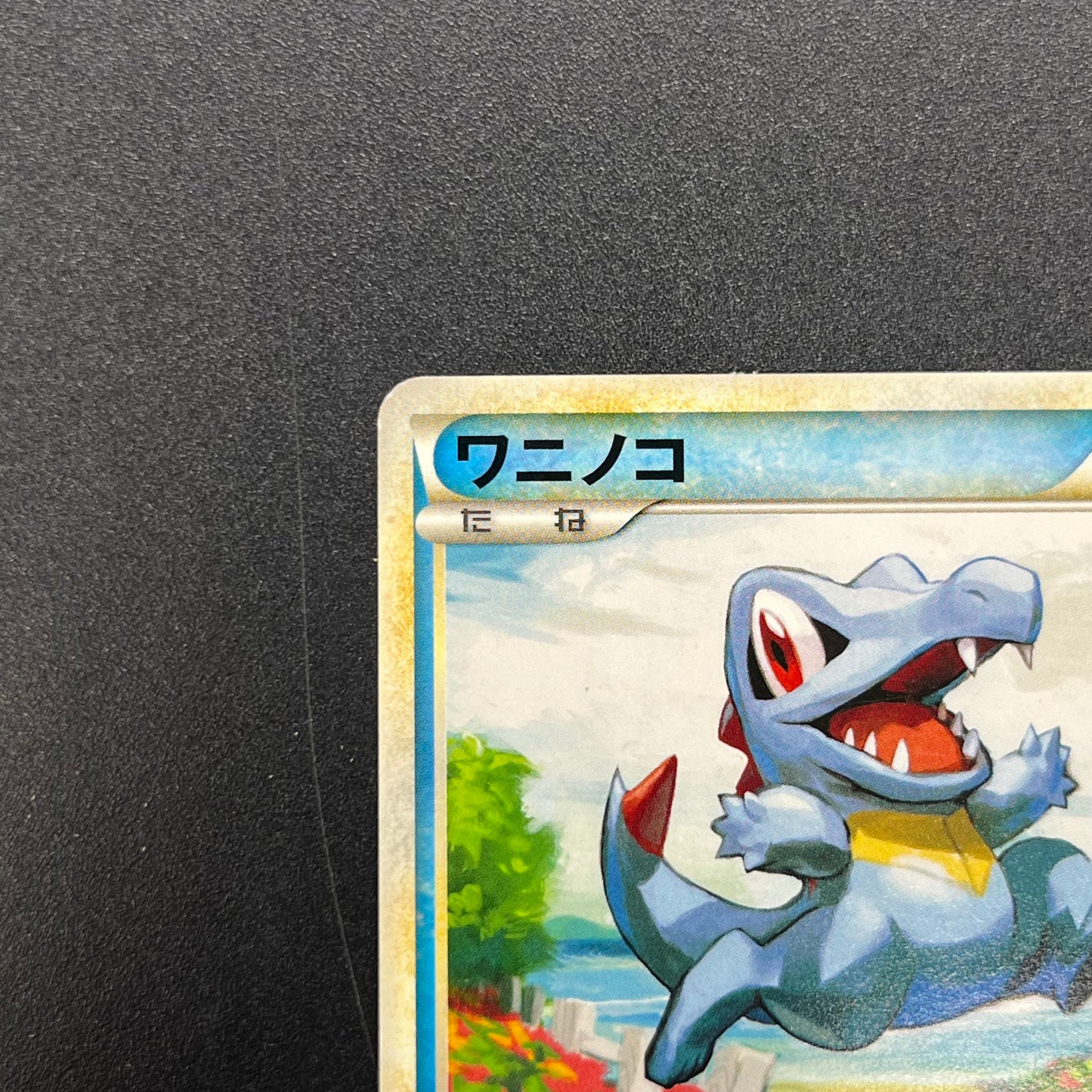 Totodile 036/L-P Promo Pokemon Center Stamp Japanese Card