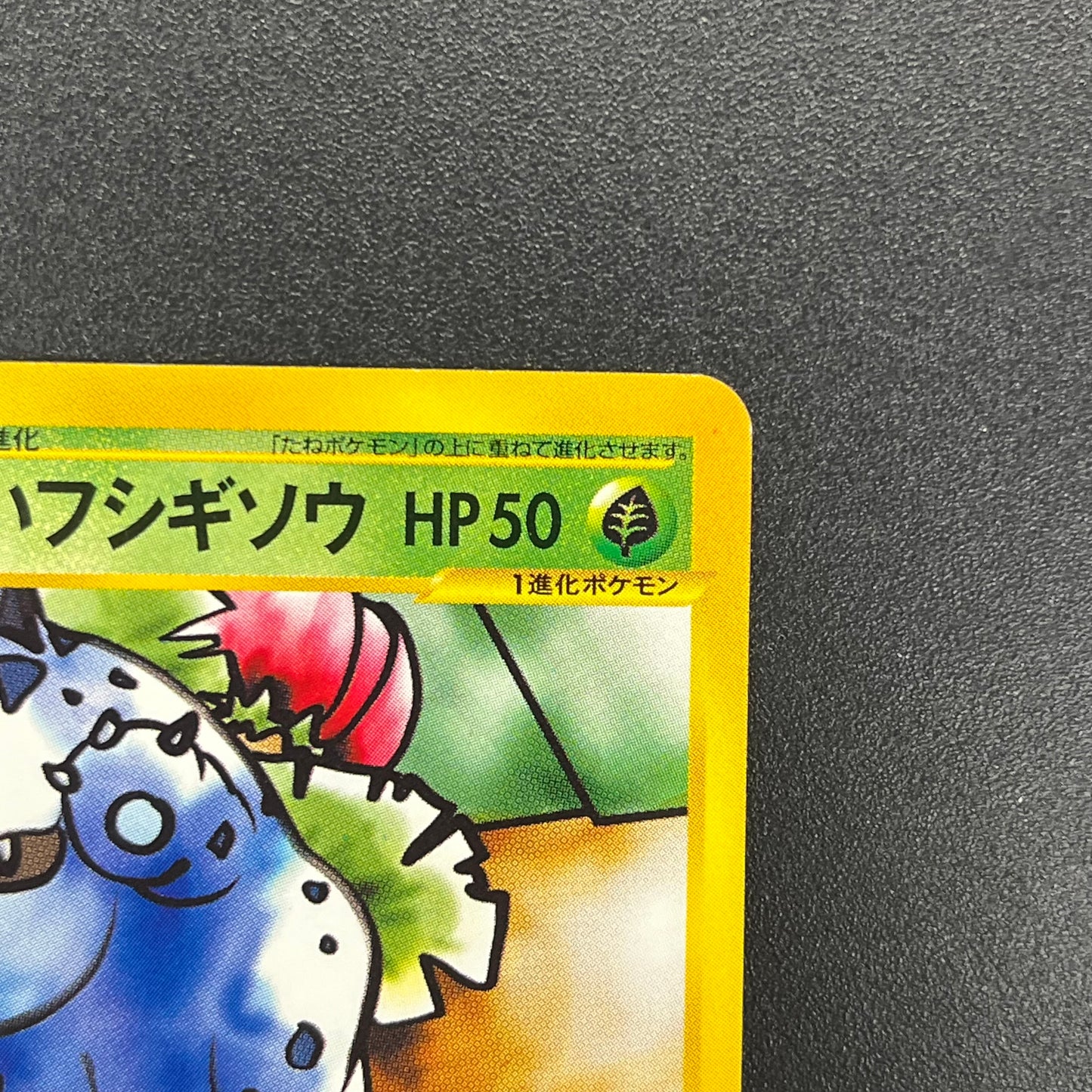 Dark Ivysaur 017/048 Web Series Japanese Pokémon Card