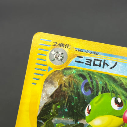 Politoed 031/088 e Series Skyridge Holo 1ED Pokémon Card