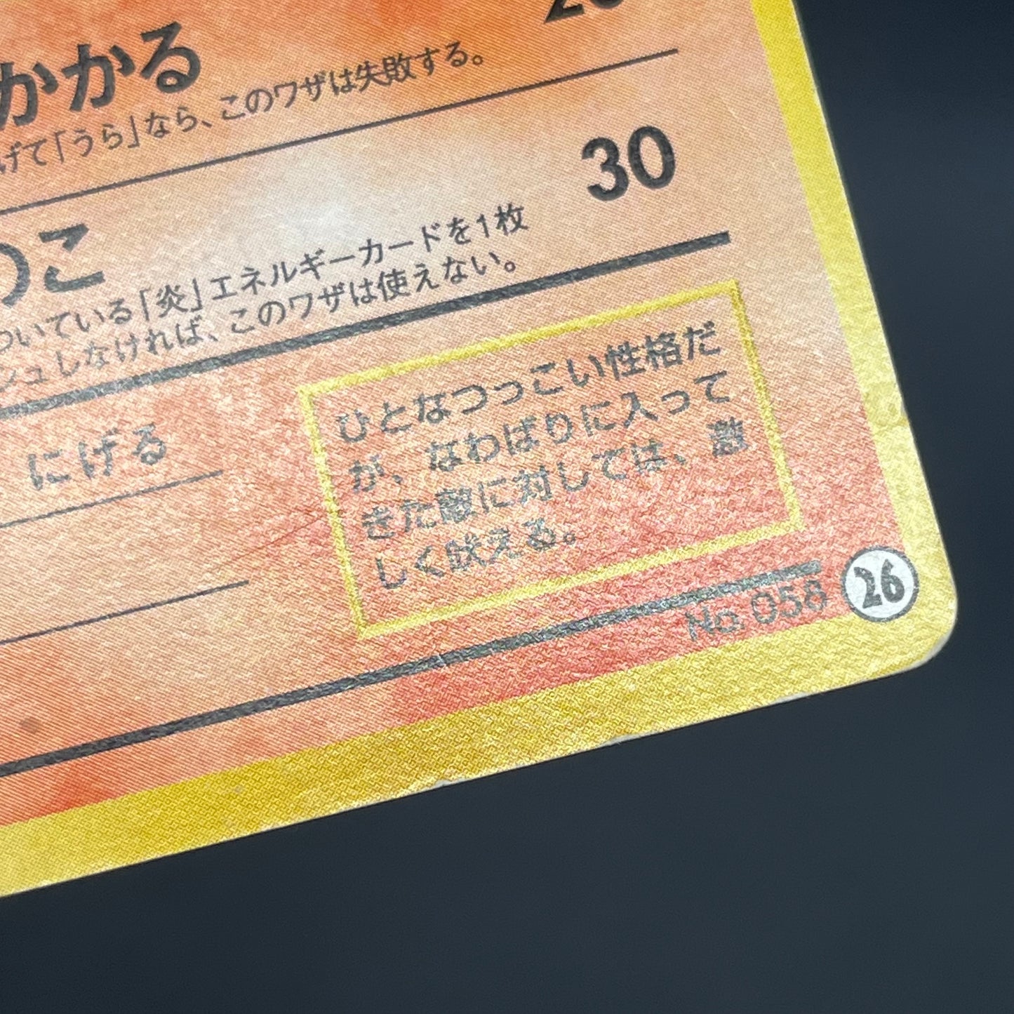 Growlith No. 058 Intro Pack Squirtle Japanese Pokémon Card