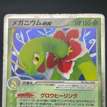 Feraligatr Meganium Unseen Forces Deck Holo Pokemon Card