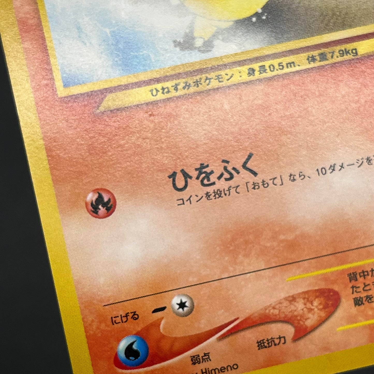 Cyndaquil 155 Intro Pack Neo Chikorita Deck Pokémon card