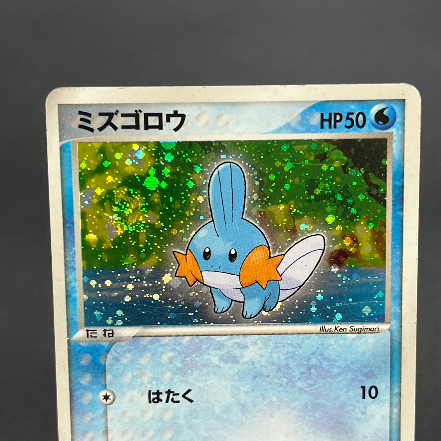 Mudkip 003/019 Mudkip Deck Japanese Pokémon Card