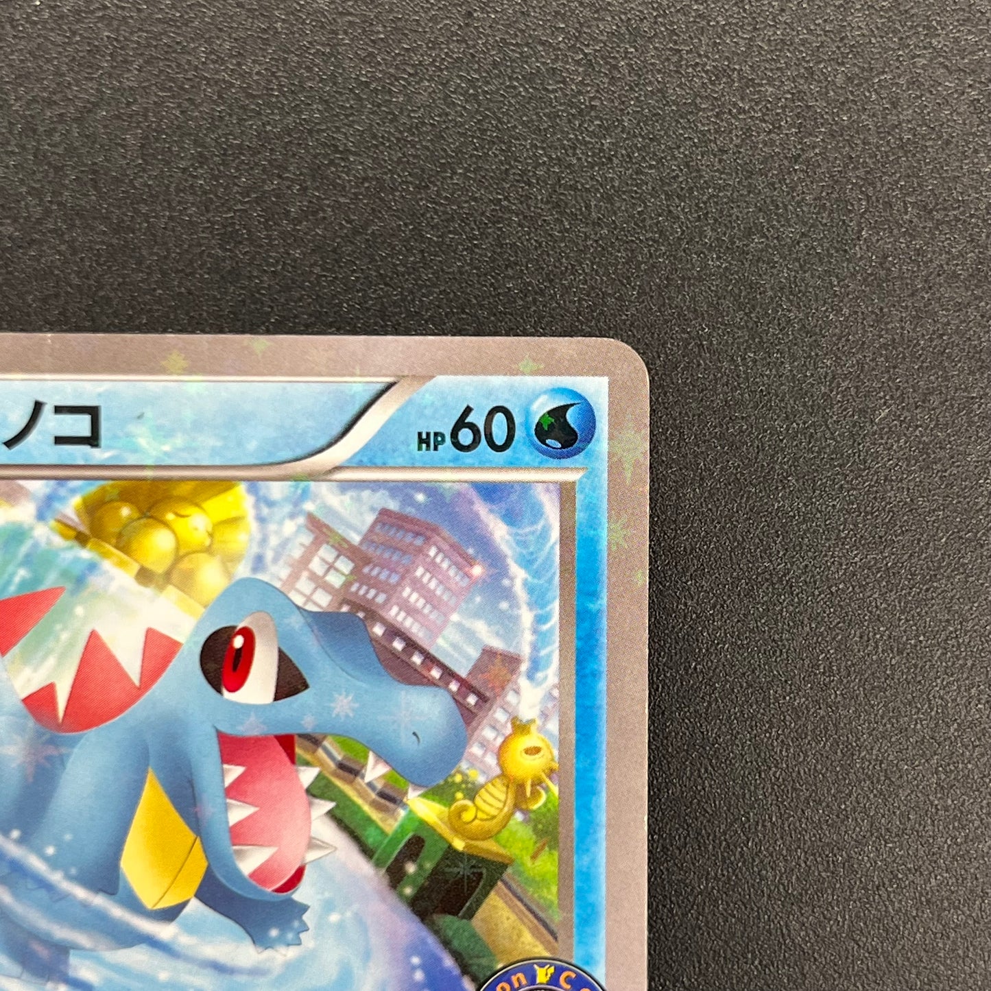 Totodile 226/XY-P Special Set Promo Japanese Pokémon Card