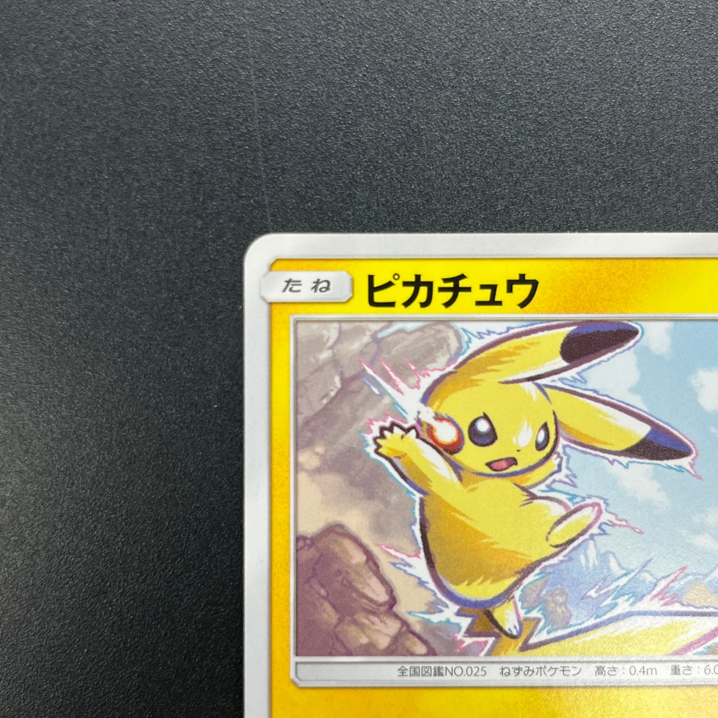 Pikachu 214/SM-P Promo Card Gym pack Japanese Pokemon Card