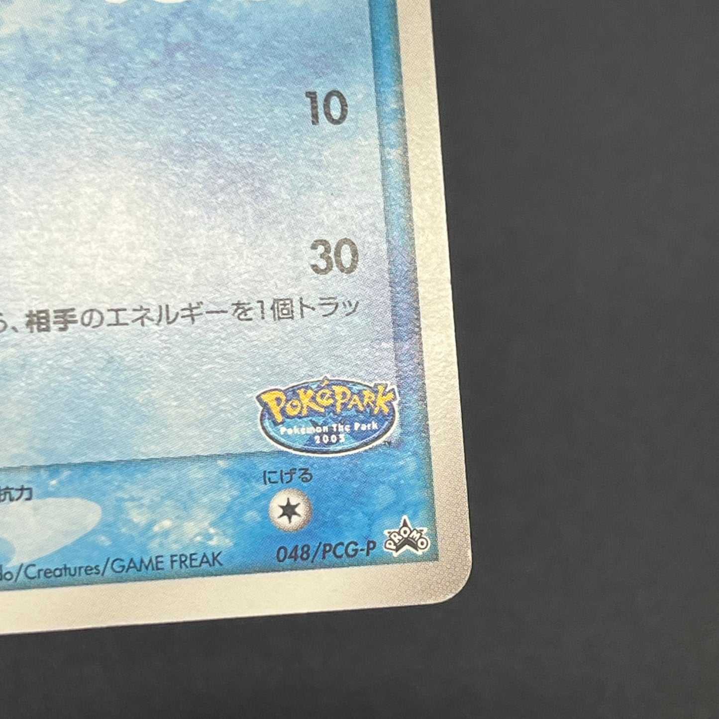 PokePark's Mudkip 048/PCG-P Promo Japanese Pokemon Card